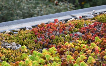 the cost of Morecambe green roof installation