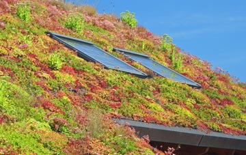 Morecambe living roof systems